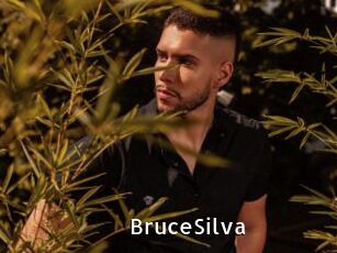 BruceSilva