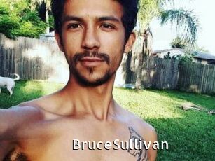 Bruce_Sullivan