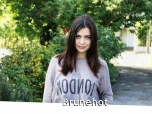 Brunehot My Porno Stash