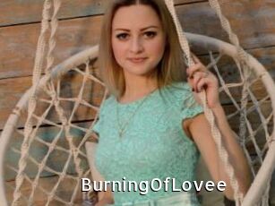 BurningOfLovee