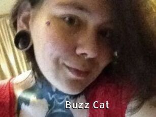 Buzz_Cat