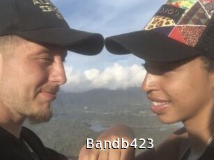 Bandb423