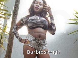 Barbiesneigh