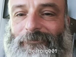 Bearpig001