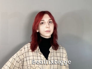 Beatrixbigge