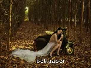 Bellaapor
