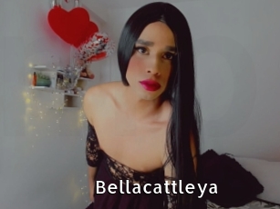 Bellacattleya