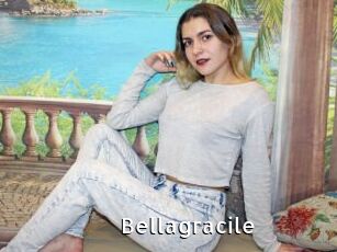 Bellagracile