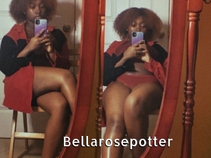 Bellarosepotter