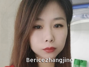 Bericezhangjing