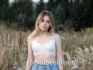 Berniecelittleb