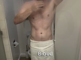 Bibud