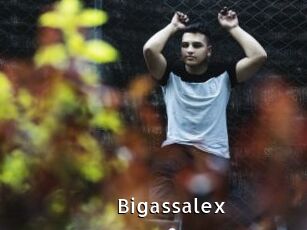 Bigassalex