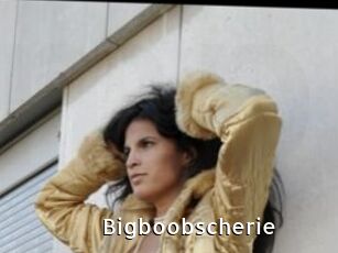 Bigboobscherie
