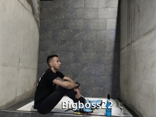 Bigboss22