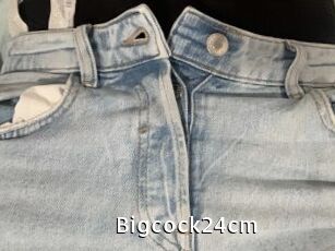 Bigcock24cm