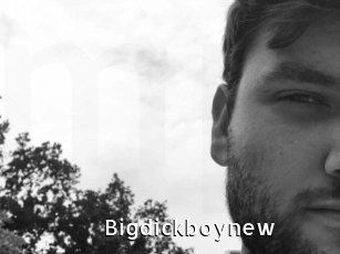 Bigdickboynew