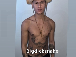 bigdicksnake My Porno Stash