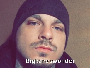 Bigkaneswonder