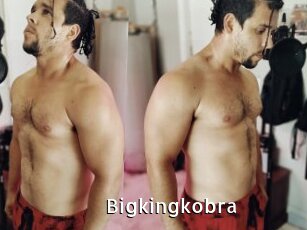 Bigkingkobra
