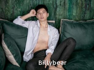 Billybear
