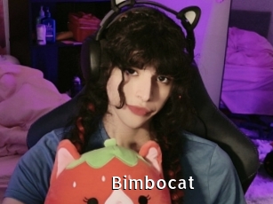 Bimbocat