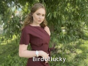 Birdoflucky