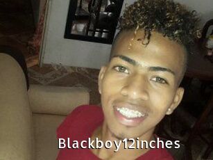Blackboy12inches
