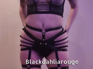 Blackdahliarouge