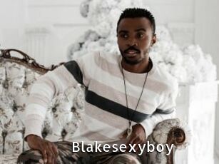 Blakesexyboy