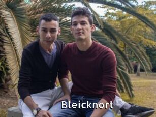 Bleicknort