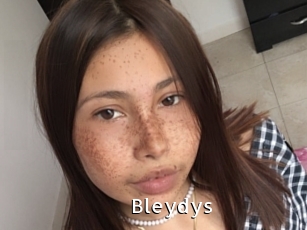 Bleydys