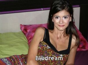 Bludream