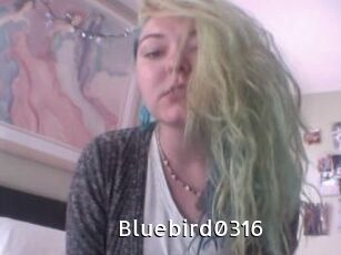 Bluebird0316