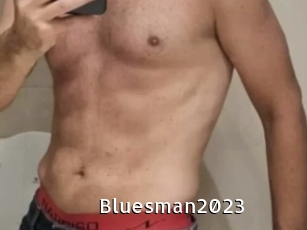 bluesman2023 My Porno Stash