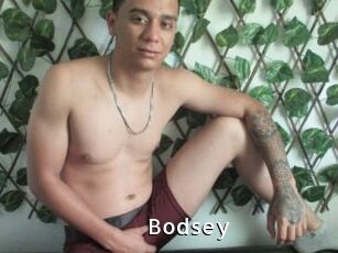 bodsey My Porno Stash