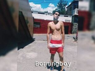 Borningboy