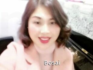 bosai My Porno Stash
