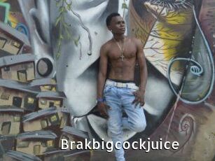 Brakbigcockjuice