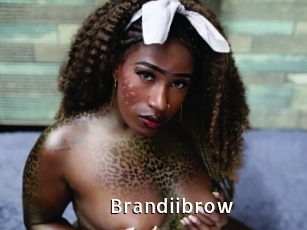 Brandiibrow