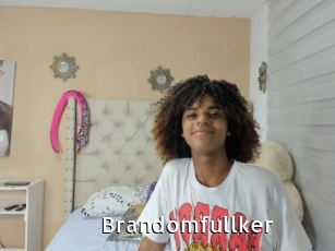 Brandomfullker