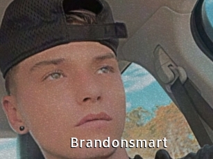 Brandonsmart