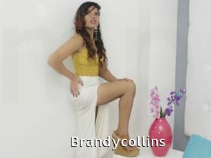 Brandycollins