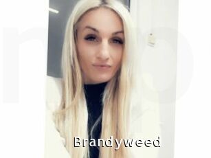 Brandyweed