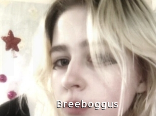 Breeboggus