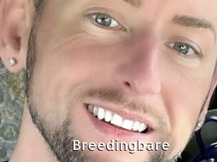 breedingbare My Porno Stash