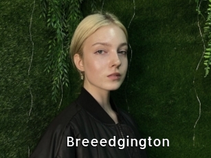 breeedgington My Porno Stash