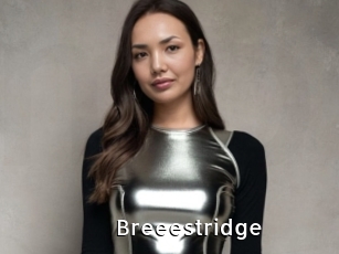 Breeestridge