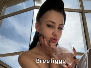 breefigge My Porno Stash