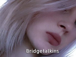 Bridgetalkins